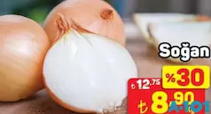 SOĞAN KG SOĞAN KG